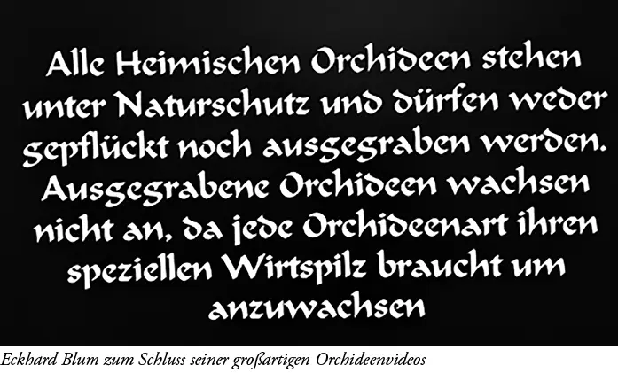 Dieses journalistische Büchlein will die Leser für die Schutzbedürftigkeit der - фото 2