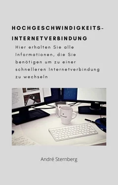 André Sternberg Hochgeschwindigkeits-Internetverbindung обложка книги