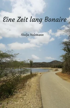 Nadja Holzmann Eine Zeit lang Bonaire обложка книги