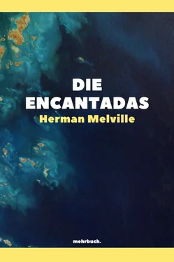 Herman Melville Die Encantadas обложка книги