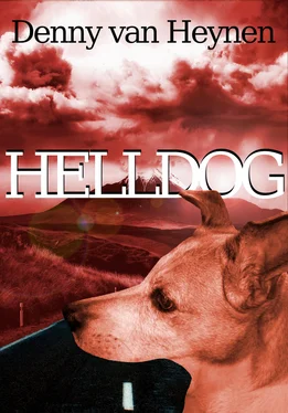 Denny van Heynen Helldog обложка книги