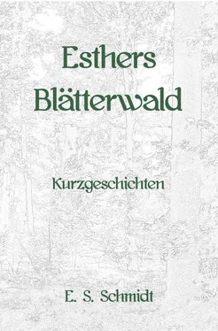E. S. Schmidt Esthers Blätterwald обложка книги