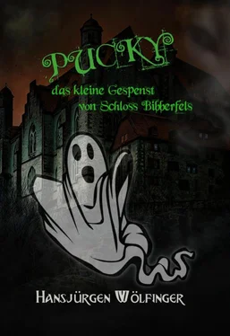 Hansjürgen Wölfinger PUCKY - das kleine Gespenst von Schloss Bibberfels обложка книги