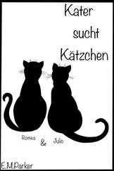 Emerson Marie Parker - Kater sucht Kätzchen