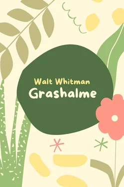Walt Whitman Grashalme обложка книги