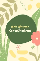 Walt Whitman - Grashalme