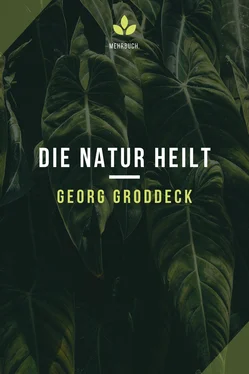Georg Groddeck Die Natur heilt обложка книги