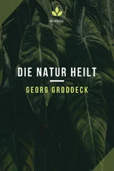 Georg Groddeck - Die Natur heilt