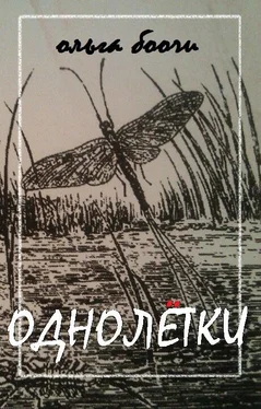 Ольга Боочи Однолётки обложка книги