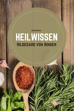Hildegard von Bingen Heilwissen обложка книги