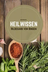 Hildegard von Bingen - Heilwissen