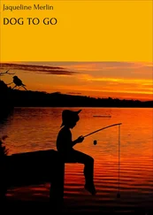 Jaqueline Merlin - DOG TO GO