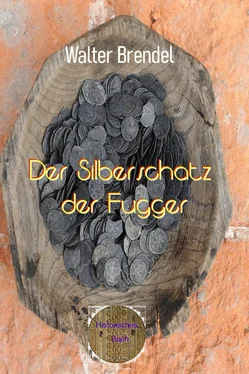 Walter Brendel Der Silberschatz der Fugger обложка книги
