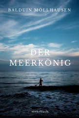 Balduin Möllhausen - Der Meerkönig