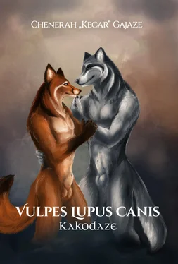 Chenerah Kecar Gajaze Vulpes Lupus Canis обложка книги