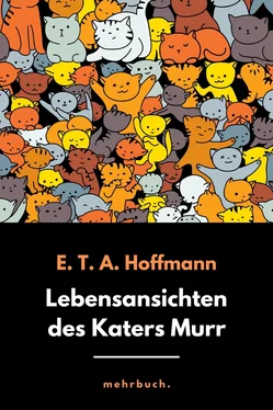 E.T.A. Hoffmann Lebensansichten des Katers Murr обложка книги