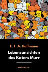 E.T.A. Hoffmann - Lebensansichten des Katers Murr