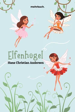 Hans Christian Elfenhügel обложка книги