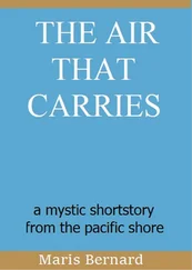 M. Hoffmann-Bernard - the air that carries