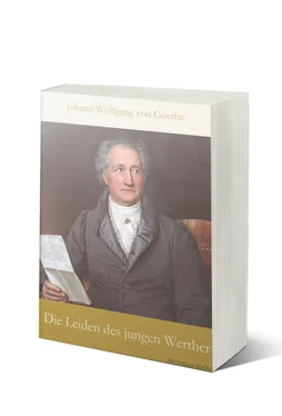 Johann wolfgang Goethe Die Leiden des jungen Werther обложка книги