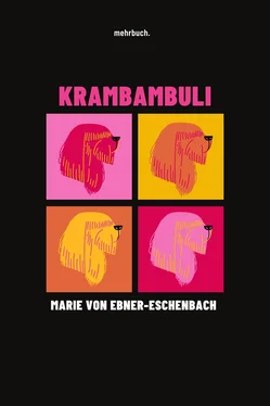 Marie Ebner-Eschenbach Krambambuli обложка книги