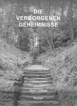 Marc Lindner Die verborgenen Geheimnisse обложка книги