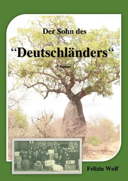 Felizia Wolf Der Sohn des Deutschländers обложка книги