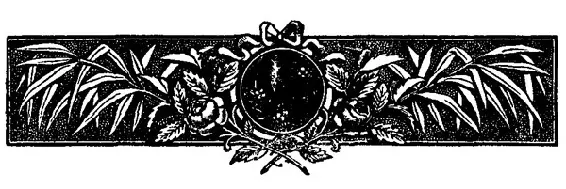 Sechstes Kapitel Madame Trotter besorgt meine Garderobe Ein eheliches - фото 10