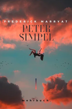 Frederick Marryat Marryat Peter Simpel обложка книги