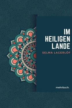 Selma Lagerlöf Im heiligen Lande обложка книги