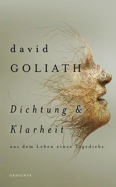 David Goliath Dichtung und Klarheit обложка книги
