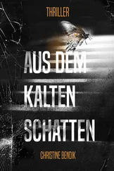 Christine Bendik - Aus dem kalten Schatten