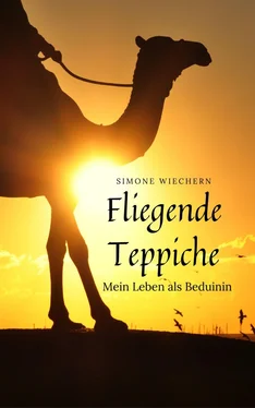 Simone Wiechern Fliegende Teppiche обложка книги
