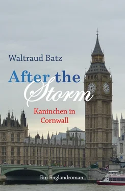 Waltraud Batz After the Storm - Kaninchen in Cornwall обложка книги