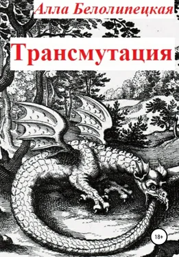 Алла Белолипецкая Трансмутация обложка книги