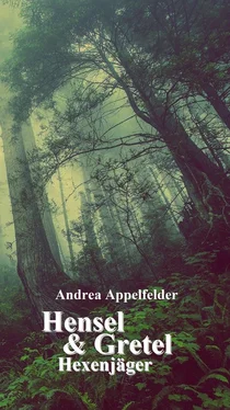 Andrea Appelfelder Hensel & Gretel обложка книги