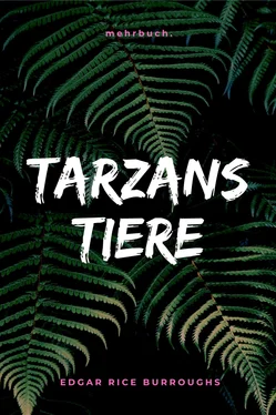 Edgar Burroughs Tarzans Tiere обложка книги