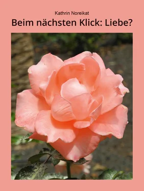 Kathrin Noreikat Beim nächsten Klick: Liebe? обложка книги