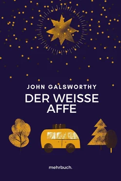 John Galsworthy Der weiße Affe обложка книги
