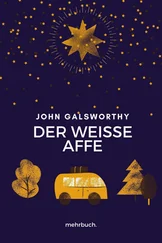 John Galsworthy - Der weiße Affe