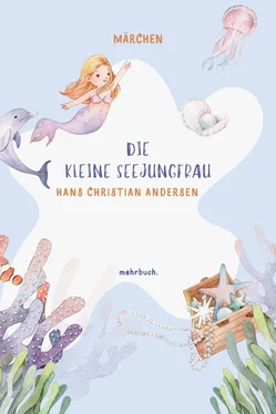 Hans Christian Die kleine Seejungfrau обложка книги