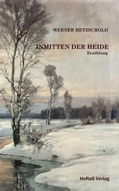 Werner Hetzschold Inmitten der Heide обложка книги