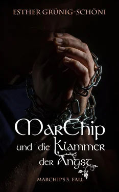 Esther Grünig-Schöni MarChip und die Klammer der Angst обложка книги