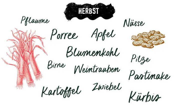 Du bist was du isst Je besser du dich mit Ernährung und Lebensmitteln - фото 12