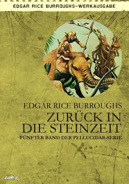 Edgar Burroughs ZURÜCK IN DIE STEINZEIT обложка книги