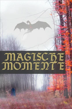 Dorothea Möller Magische Momente - Phantastische Geschichten обложка книги