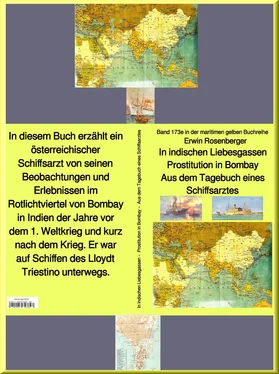 Erwin Rosenberger Erwin Rosenberger: In indischen Liebesgassen - Prostitution in Bombay - Aus dem Tagebuch eines Schiffsarztes обложка книги