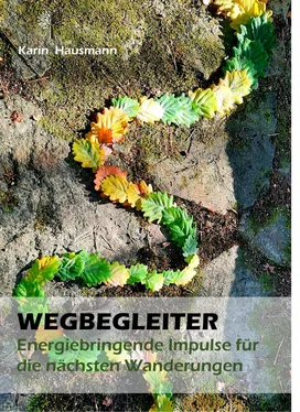 Karin Hausmann WEGBEGLEITER - Energiebringende Impulse für die nächste Wanderung обложка книги