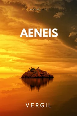 Vergil Aeneis обложка книги