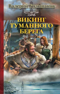 Валерий Большаков Викинг туманного берега обложка книги